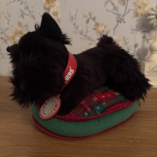 Canine crooners black westie - canine,
