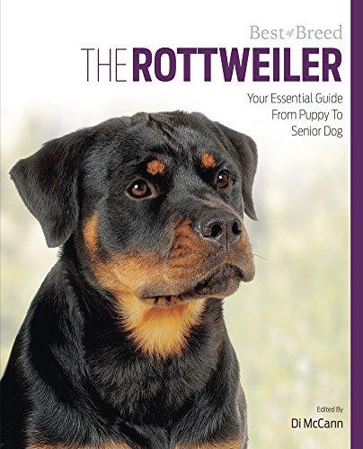 Rottweiler best breed - breed:, your