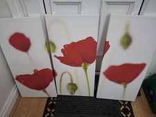 Set 3 Poppy PICTURES Wall Art