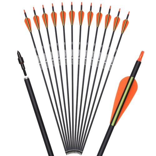 12x archery carbon - 28/30/31",