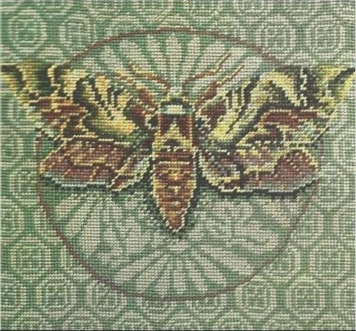 Ehrman hawkmoth kaffe - ehrman,