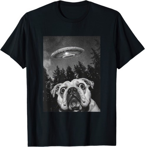 English bulldog with spaceship - english,