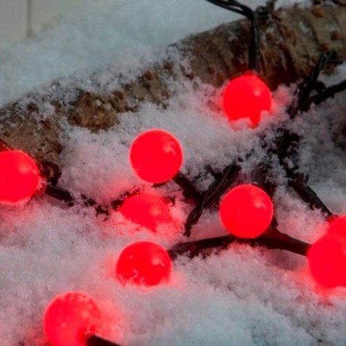 Noma indoor outdoor christmas - indoor,