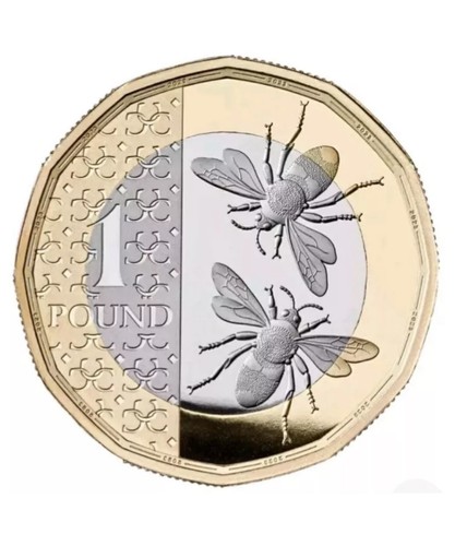 King charles iii bee one - bee, pound