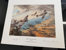 Normandy Fighter Sweep -Robert