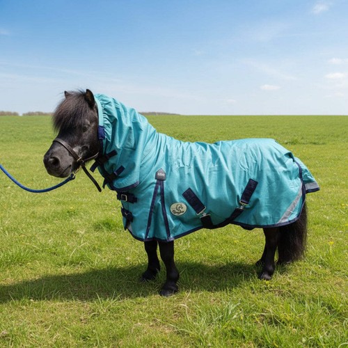 Ruggles 50g combo turnout rug - 50g,