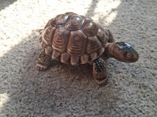 Wade Vintage Tortoise 2 Piece