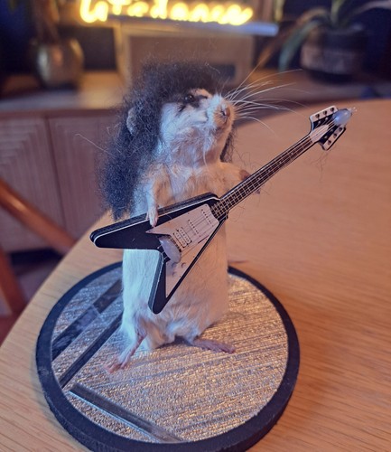 Mouse taxidermy rock star - rock, with