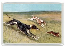 GREYHOUND DOG FRIDGE MAGNET