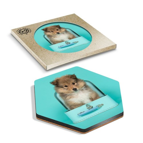 Hexagon coaster shetland - x,