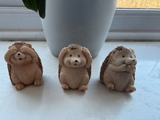3 Cute Hedgehogs