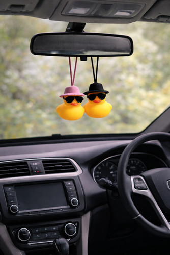Cool hanging duck car - cool,