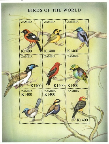 Zambia 2001 birds of - zambia, the