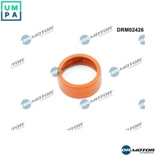 SEAL RING CHARGE AIR HOSE