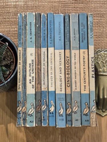 Vintage pelican penguin - 11,