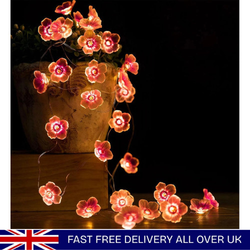 Cherry blossom lights - cherry, pink