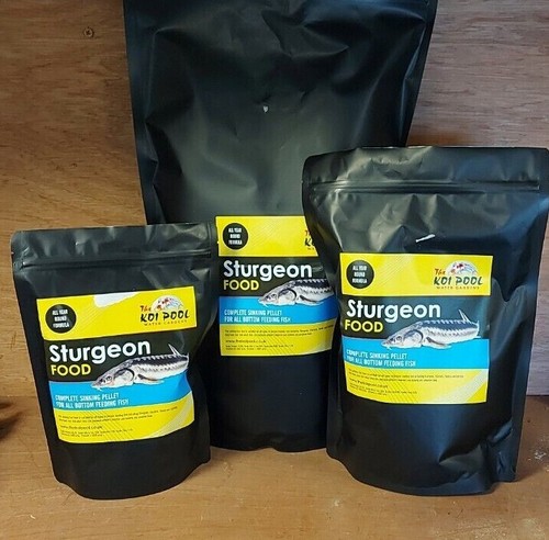 Premium sturgeon food 2mm - ,