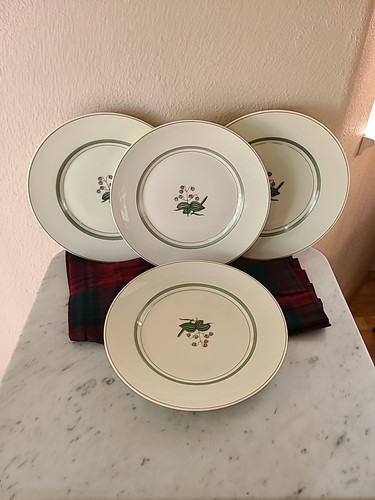 Dinner plates quaking - plates, grass