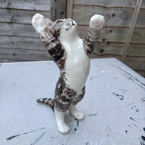Winstanley tabby standing - winstanley,