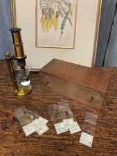 Antique Brass Deyrolle Student