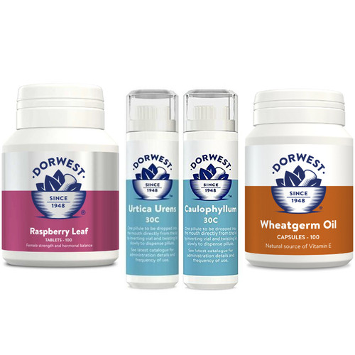 Dorwest herbs whelping - dorwest,