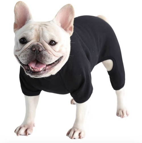Dog clothes - dog, pajamas