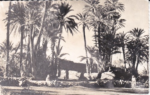 Africa scenes types - 'scenes, &