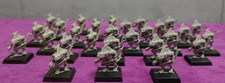 Rare OOP Warhammer Lizardmen
