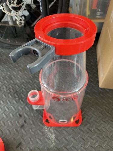 Reef octopus regal - octopus, 150-s