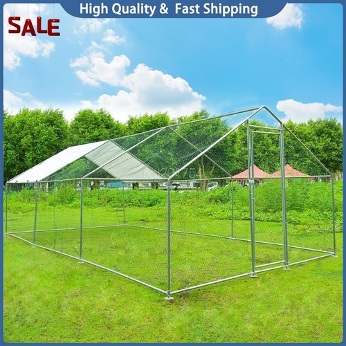 Large metal chicken - metal, hen
