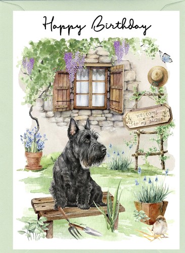 Scottish terrier scottie dog - terrier, /