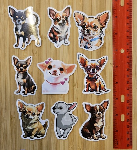 Chihuahua pups cute lot dogs - cute,
