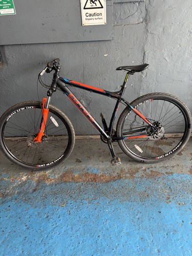 Adults carrera sulcata 7005 - 7005, t6