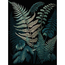 Fern Frond Detailed Botanical