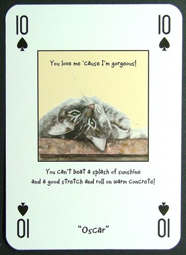 Playing card magnificent - x,