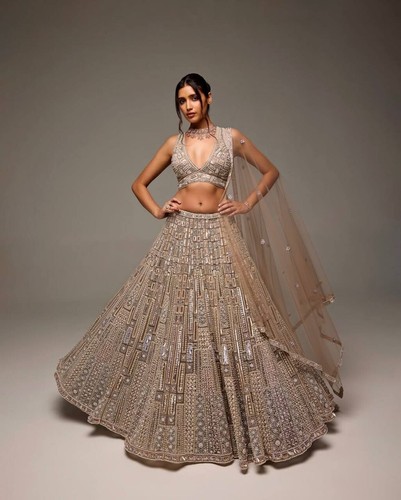 Wedding party wear beige net - wear,