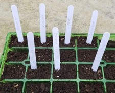Plant Label White Tags Stick