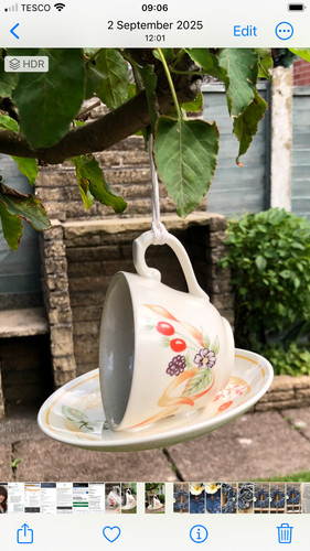 Tea cup bird feeder created - , by