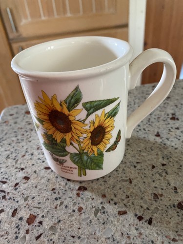 Portmeirion botanic garden - portmeirion, mug