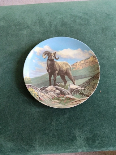 Bradford exchange decorative - exchange,