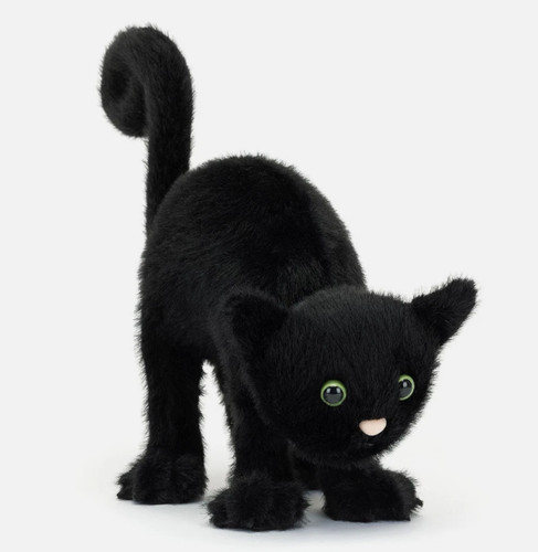 Jellycat spookipaws cat black - jellycat,