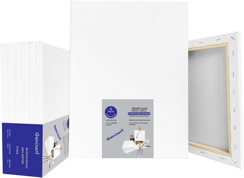 Genixart 16x20 white - white, stretched