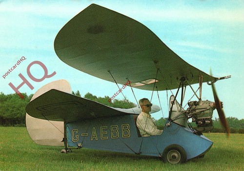 Picture postcard flying flea - picture, postcard:-flying