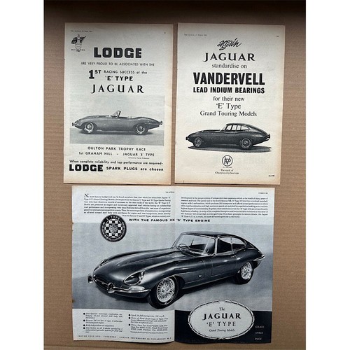 Jaguar type - jaguar, e-type