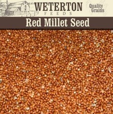 Red and white millet mix - red,