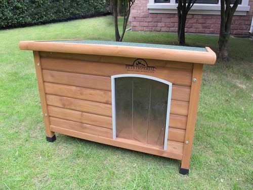 Norfolk insulated dog - norfolk,