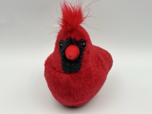 Northern red cardinal - k&m,