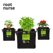 ROOT NURSE SQUARE Fabric Plant