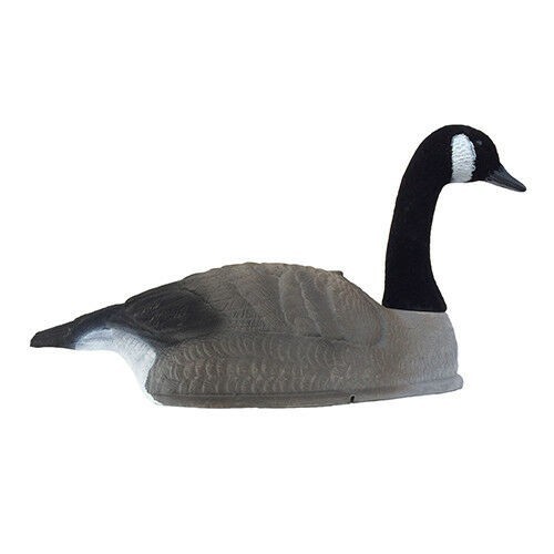 Canada goose decoy - decoy, shell