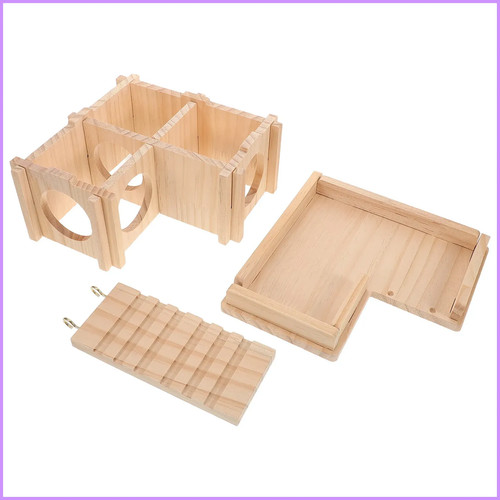 Bearded dragon habitat - bearded,